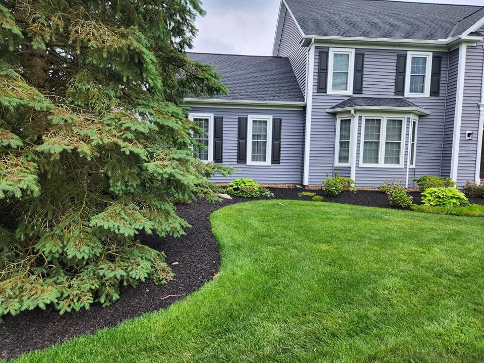 Mulch Installation example 2