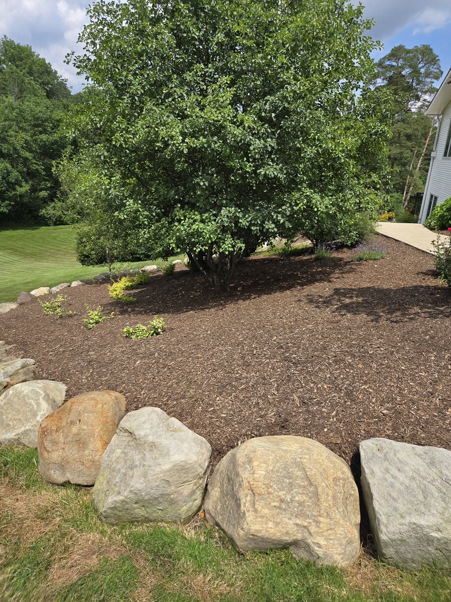 Boulder Border Garden Bed