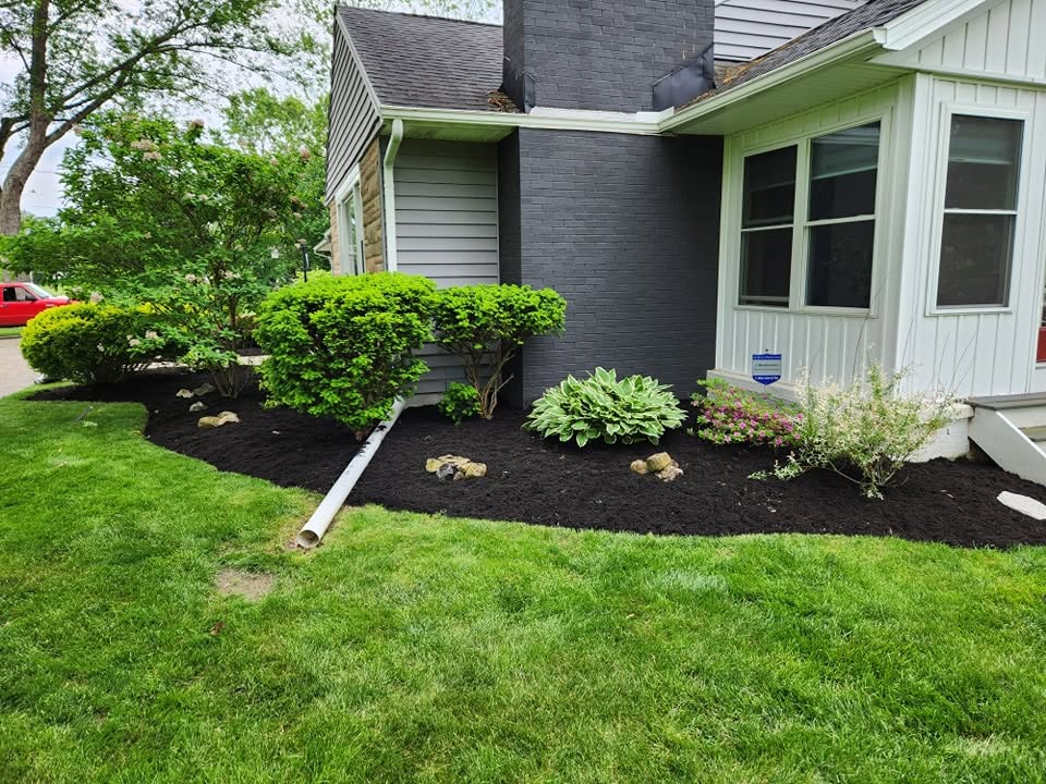 Corner Bed — Black Mulch & Hostas