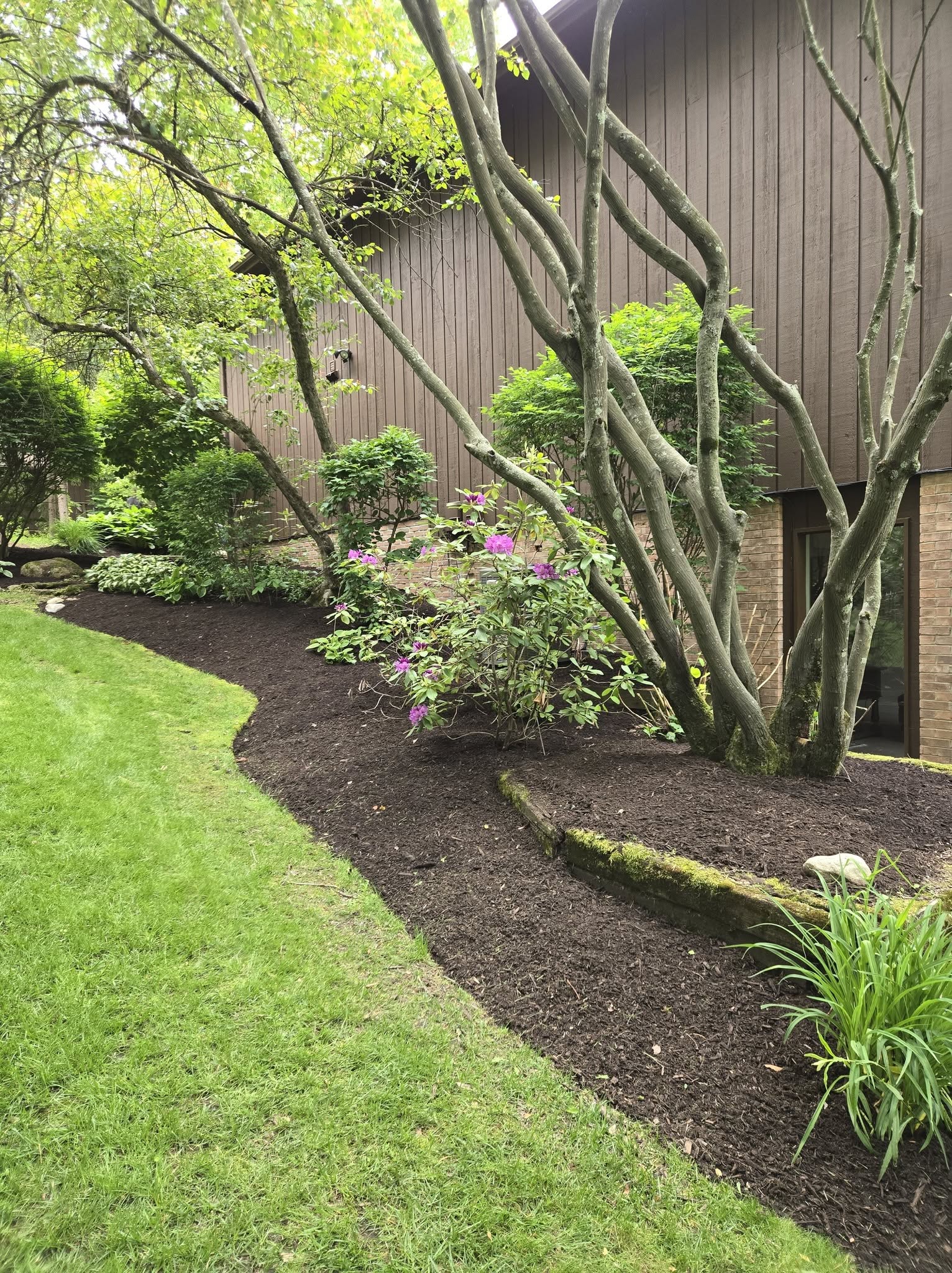 Mulch Installation example 3